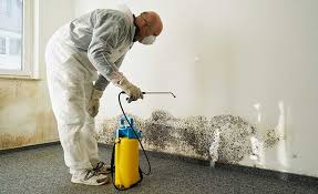 Best Biohazard Mold Removal in Winnie, TX